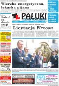 Pałuki i Ziemia Mogileńska
