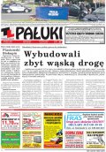 Pałuki