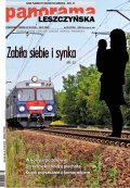 Panorama Leszczyńska
