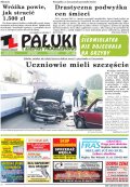 Pałuki i Ziemia Mogileńska