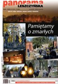 Panorama Leszczyńska