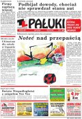 Pałuki