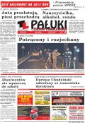 Pałuki i Ziemia Mogileńska