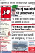 Przegląd Koniński