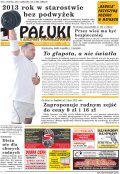 Pałuki i Ziemia Mogileńska