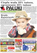Pałuki i Ziemia Mogileńska