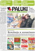 Pałuki