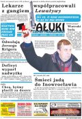 Pałuki i Ziemia Mogileńska