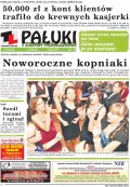 Pałuki i Ziemia Mogileńska
