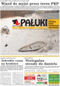 Pałuki