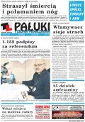 Pałuki i Ziemia Mogileńska