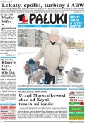 Pałuki