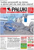 Pałuki