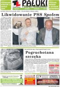 Pałuki i Ziemia Mogileńska