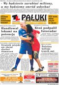 Pałuki i Ziemia Mogileńska