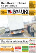 Pałuki