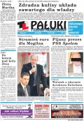 Pałuki i Ziemia Mogileńska