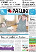 Pałuki