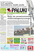 Pałuki