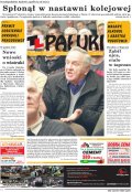 Pałuki