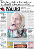 Pałuki i Ziemia Mogileńska