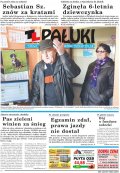 Pałuki
