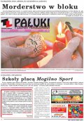 Pałuki i Ziemia Mogileńska