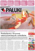 Pałuki