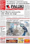 Pałuki i Ziemia Mogileńska
