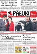 Pałuki