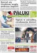 Pałuki i Ziemia Mogileńska