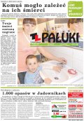Pałuki