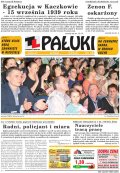 Pałuki