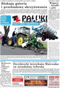 Pałuki i Ziemia Mogileńska