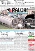Pałuki