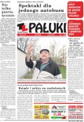 Pałuki