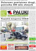 Pałuki i Ziemia Mogileńska
