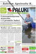 Pałuki