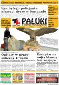 Pałuki i Ziemia Mogileńska