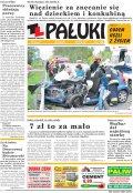 Pałuki