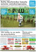 Pałuki