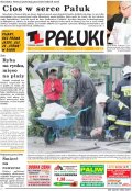 Pałuki