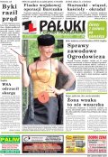 Pałuki i Ziemia Mogileńska