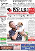 Pałuki i Ziemia Mogileńska