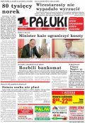 Pałuki