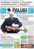Pałuki i Ziemia Mogileńska
