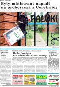 Pałuki