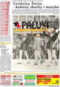 Pałuki