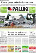 Pałuki