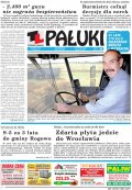 Pałuki
